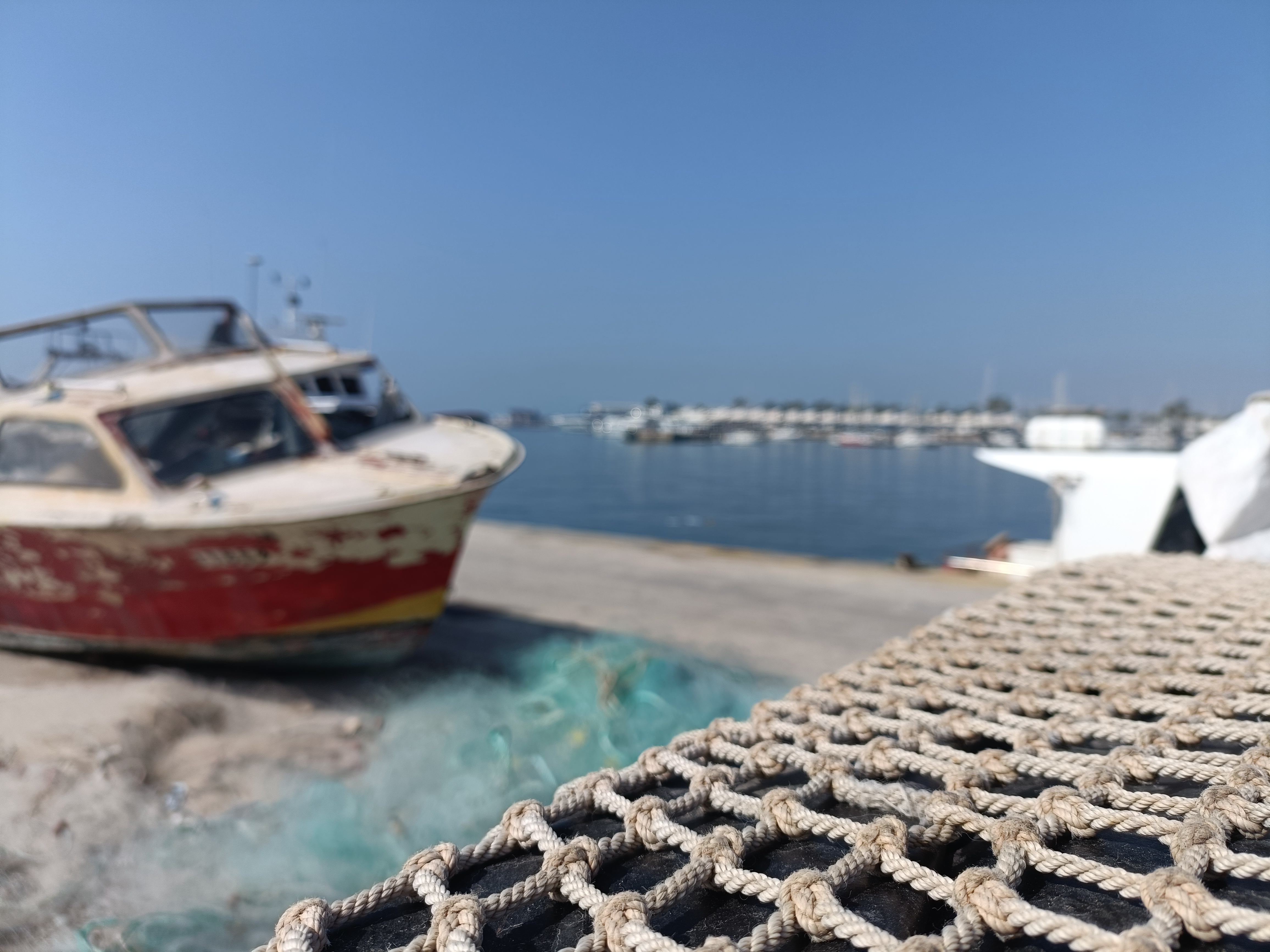 Cofradía Pescadores Santa Pola